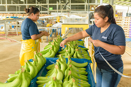 Η Chiquita υπερασπίζεται τα δικαιώματα των γυναικών