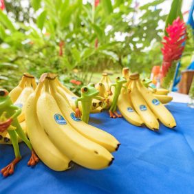 Η Chiquita δεσμεύεται για επιπλέον 10 χρόνια προστασίας του Καταφυγίου Nogal προς τιμήν της 20ης επετείου του